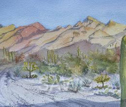 Sabino Canyon Sunrise by Peggy Cobey
